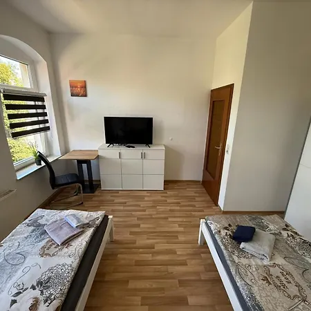 Flex Aparts - Grosse, Moeblierte 3-raum In Apartman Zwickau