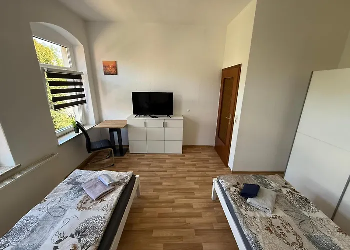 Flex Aparts - Grosse, Moeblierte 3-raum In Apartman Zwickau